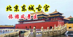 百度草比毛片中国北京-东城古宫旅游风景区